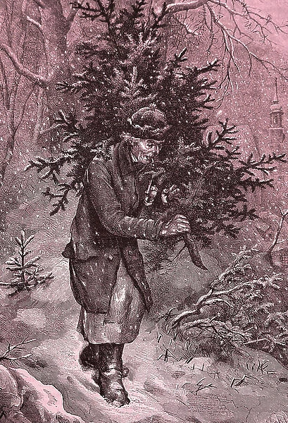 Man taking home a Christmas tree, in heavy snow, 1883