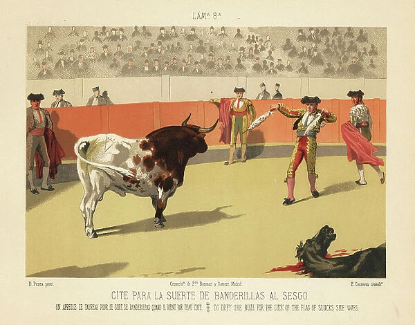 Matador preparing to stab a bull with two banderillas in the bullring. Chromolithograph by E. Casanova after an illustration by Daniel Perea from Bullfight, Corrida del Toros, Madrid, Boronat & Satorre, 1894