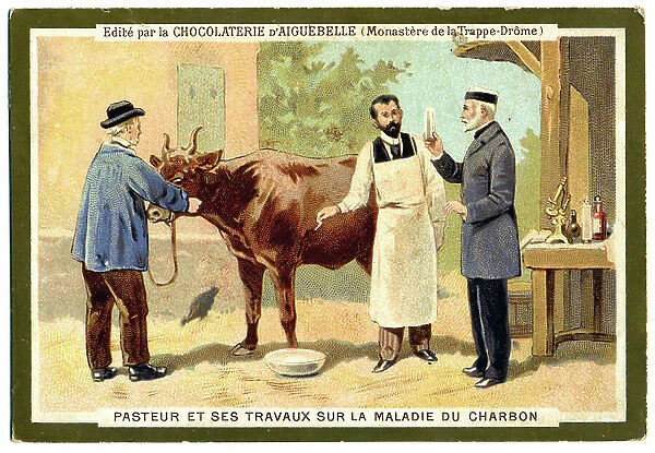 Medicine. Louis Pasteur and the anthrax. Imagery, France, c.1900