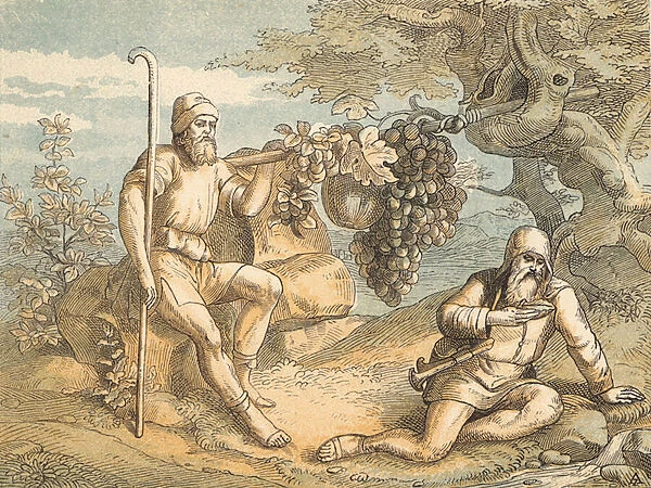 The Men sent to Search Canaan (coloured engraving)