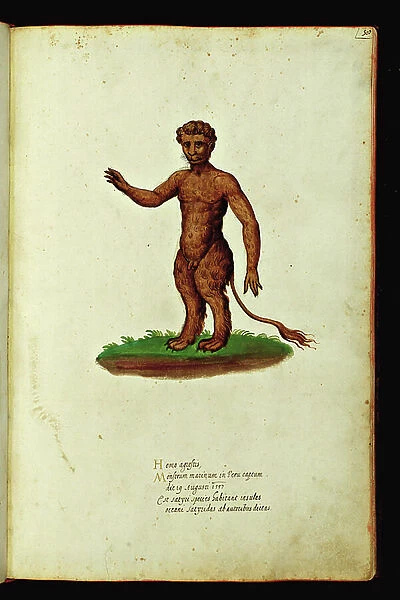 Monster creature with a satyre's face and felin's body. Illustrated chart of a manuscript of Natural History by Ulisse Aldrovandi (1522-1605), Ulisse Aldrovandi fonds, University Library of Bologna, ed. 1603