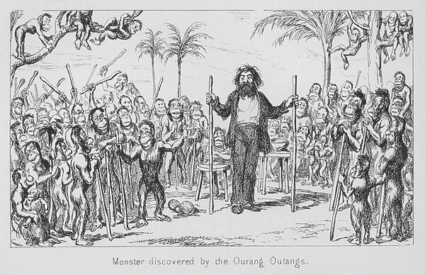 Monster discovered by the Ourang Outangs (engraving)