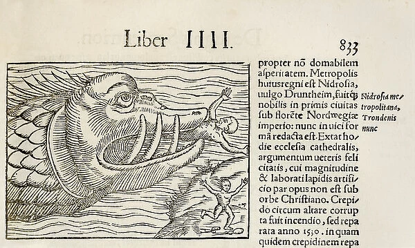 Monstrous whale devouring humans, from 1550 edition of