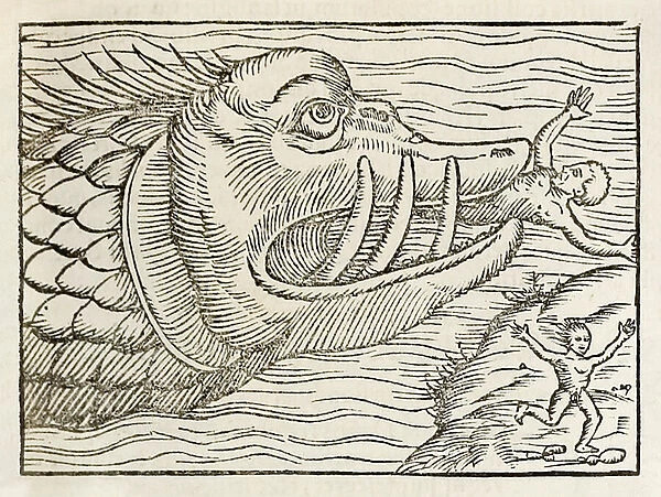 Monstrous whale devouring humans, from 1550 edition of Cosmographia