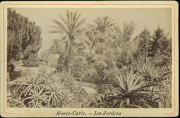 Monte Carlo: The exotic gardens, 1885