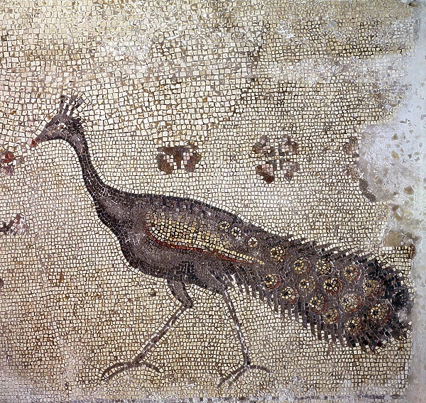 Detail of a mosaic showing a peacock, 4th century (mosaic)