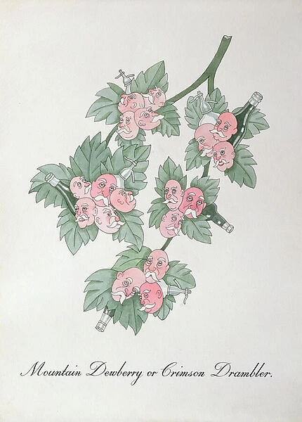 Mountain Dewberry or Crimson Drambler, illustration from The Bogus Book of Botany by John Weir, 1930-48 (ink on paper)