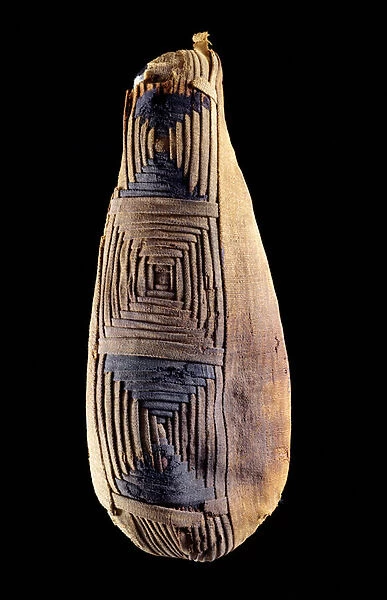 Mummy of an ibis, from Abydos, Egypt