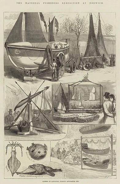 The National Fisheries Exhibition at Norwich (engraving)