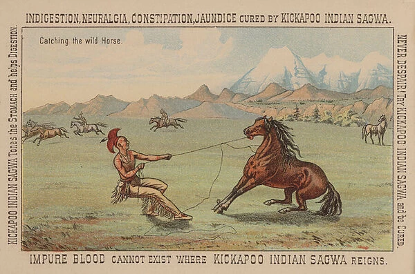 Native American catching a wild horse (chromolitho)