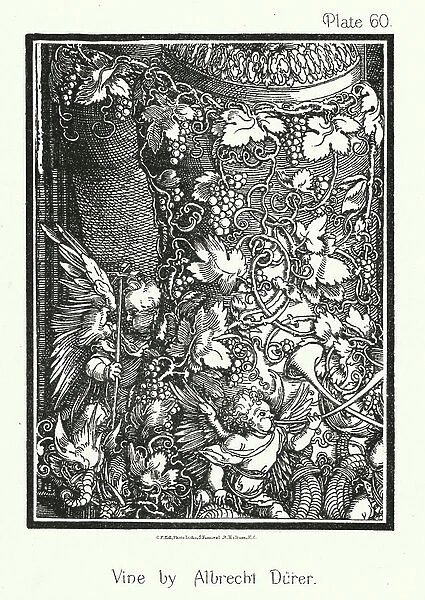 Nature in Ornament: Vine by Albrecht Durer (litho)