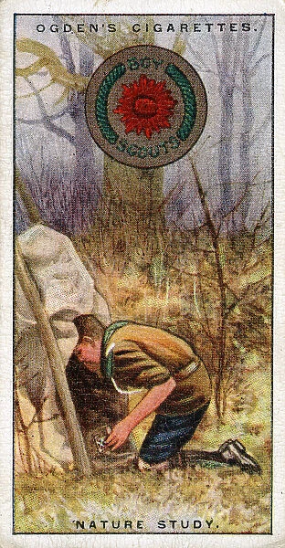 Nature Study Badge for Scouts, Scout entering a hide, 1929 (colour litho)