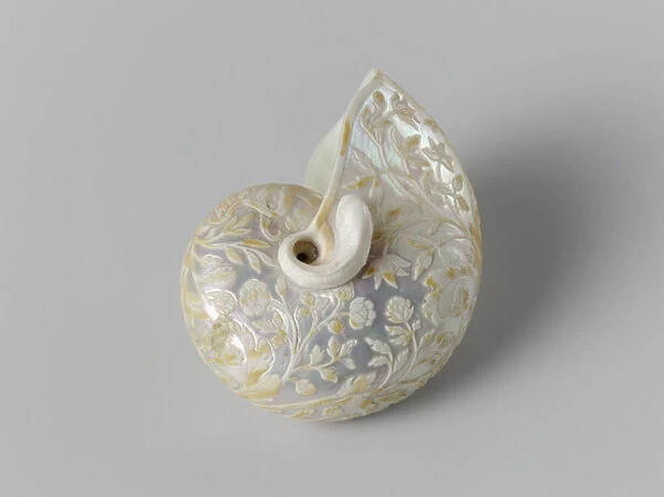 Nautilus Shell engraved with Flowers, 1650-1700 (mother of pearl)