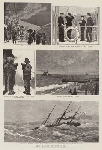 The Naval Manoeuvres (engraving)