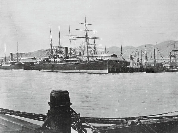 New Zealand, 1890s: Wellington Wharves (b / w photo)