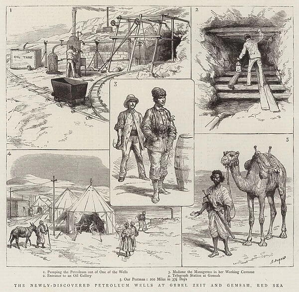 The Newly-Discovered Petroleum Wells at Gebel Zeit and Gemsah, Red Sea (engraving)