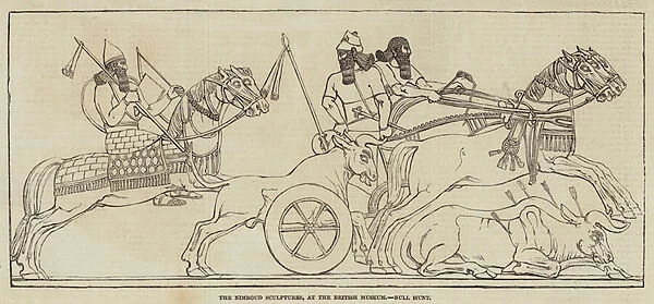 The Nimroud Sculptures, at the British Museum, Bull Hunt (engraving)