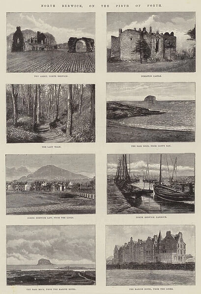 North Berwick, on the Firth of Forth (engraving)