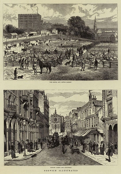 Norwich Illustrated (engraving)