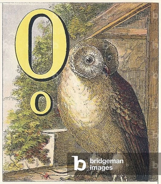 O for the Owl that sees in the dark, 1872 (illustration)