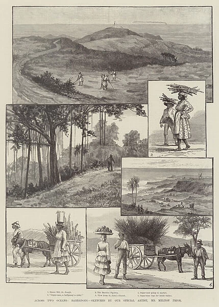 Across Two Oceans, Barbadoes (engraving)