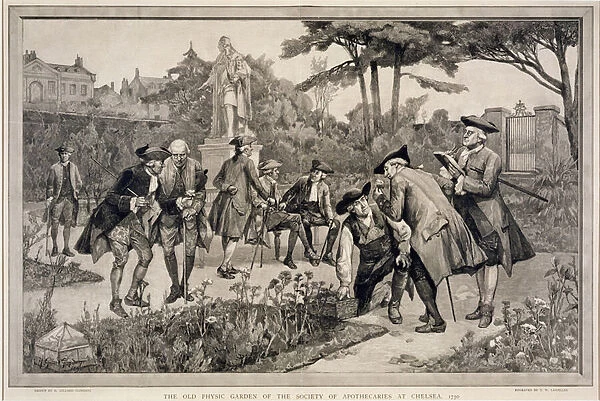 The Old Physic Garden of the Society of Apothecaries at Chelsea, 1750