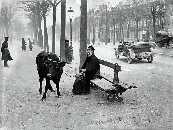 Old woman with a cow, sits on a bench, 1918 (b / w photo)