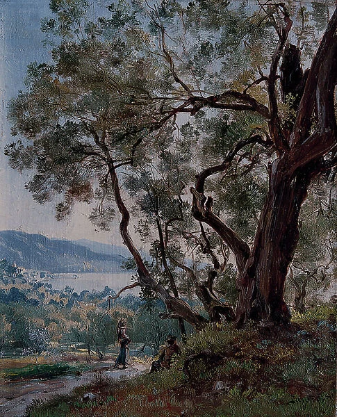 Olive trees at the beginning of the Roquebrune trail, 1892 (oil on canvas)