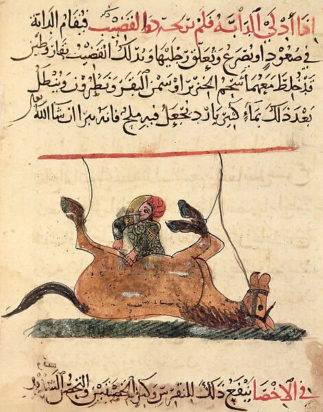 Operation on a horse, illustration from the Book of Farriery by Ahmed ibn