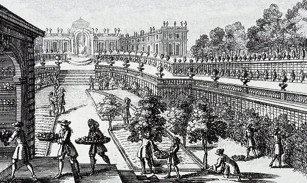 The Orangerie of Versailles, 1690 (engraving)