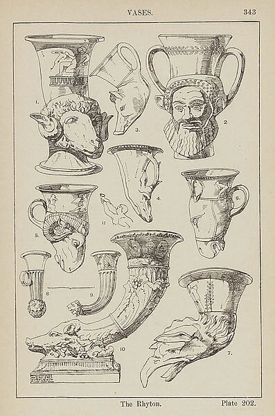Ornament: Vases, The Rhyton (engraving)