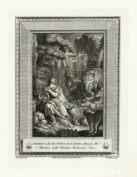 Orphee seduces animals, rocks and trees with her cat and lyre - Orpheus, by his voice and lyre, attracts the attention of the animals, rocks and trees. Copperplate engraving by W