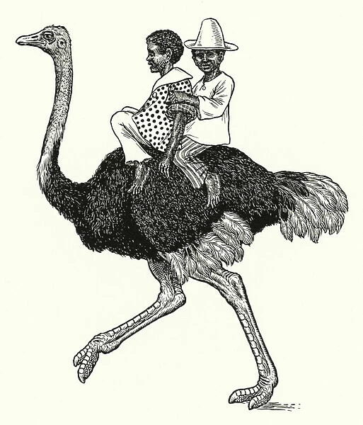 Ostrich riding (litho)