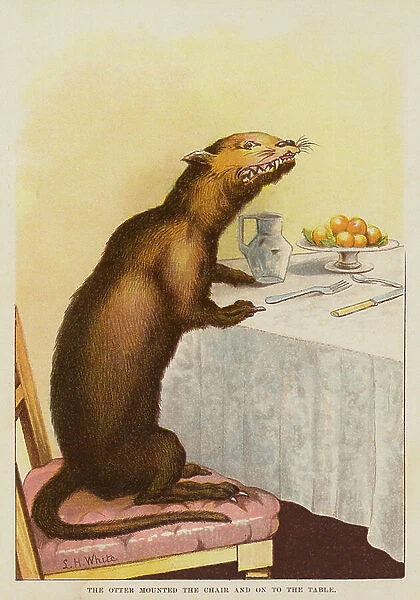 The otter mounted the chair and on to the table (colour litho)