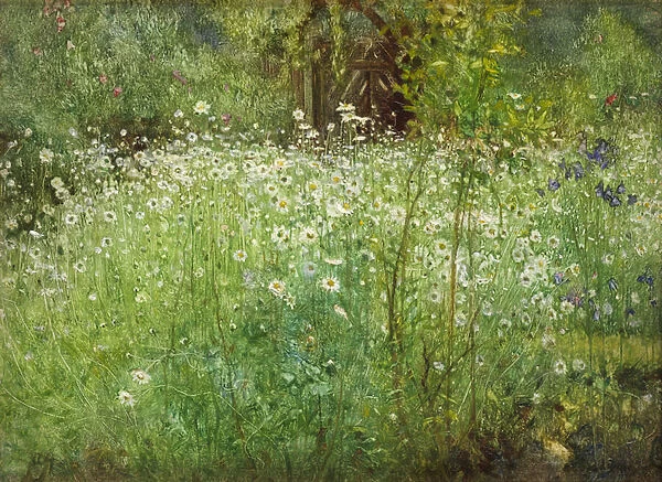 Oxeye Daisies and Irises, 1920 (oil on panel)