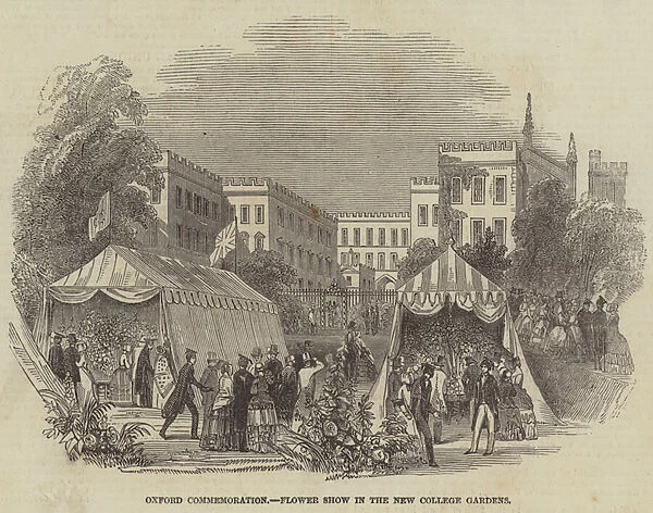 Oxford Commemoration, Flower Show in the New College Gardens (engraving)