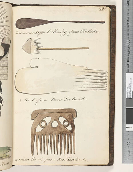 Page 222. Instruments for tathowing from Otaheite 2 drawings;a comb from New Zealand;wooden Comb, from New Zealand, 1810-17 (w  /  c & manuscript text)