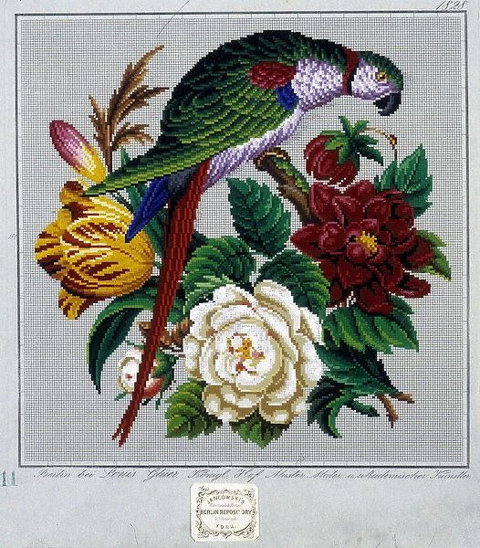 Pattern for cross stitch embroidery (parrot) - in '