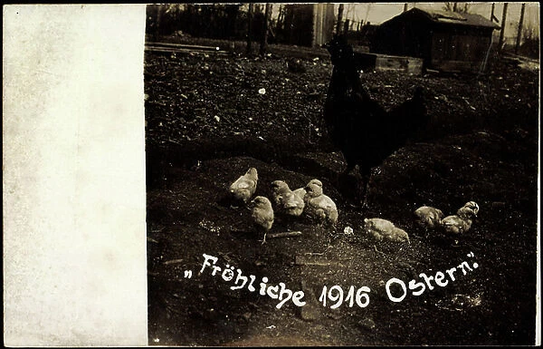 Photo Happy Easter, Chick and Black Hen 1916