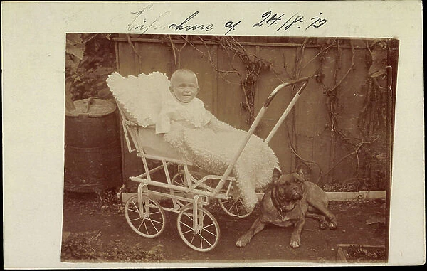 Photo Toddler in stroller with Great Dane