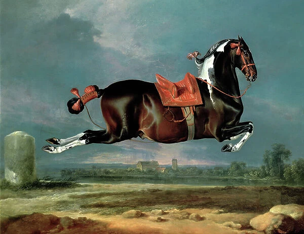 The piebald horse Cehero rearing