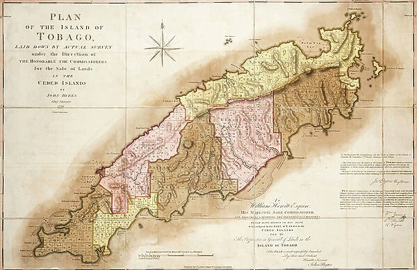 Plan of Tobago, 1776 (coloured engraving)