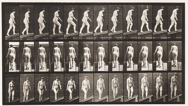 Plate 77. Ascending Incline, 1872-85 (collotype on paper)