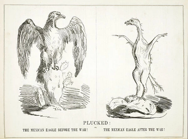 Plucked: or, The Mexican Eagle Before the War! The Mexican Eagle After the War