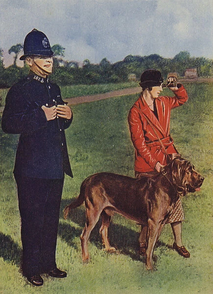 Policeman with bloodhound (photo)