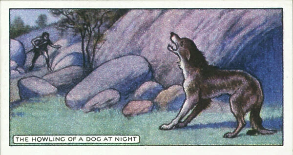 Popular Superstitions: The howling of a dog at night (colour litho)