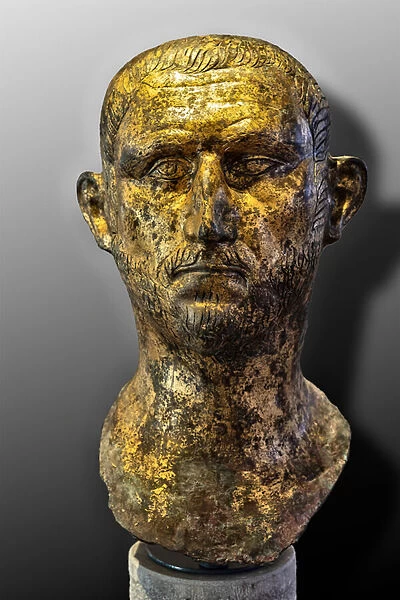 Portrait of the Emperor Probus o, less likely, Diocletian