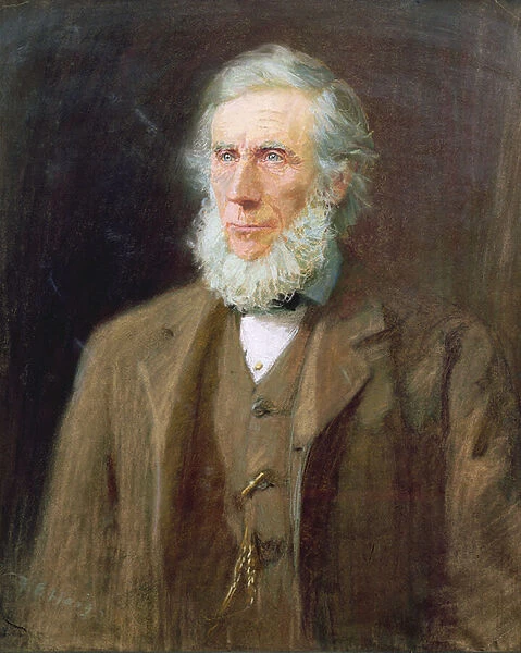 Portrait of John Tyndall (1820-93) (pastel on paper)