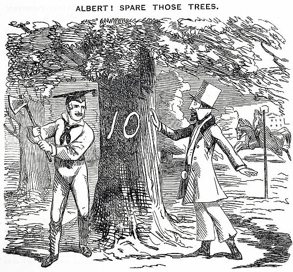 Prince Albert being urged to think before felling trees in Hyde Park
