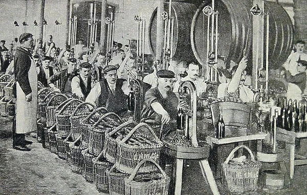 Print depicting the bottling of wine in Champagne